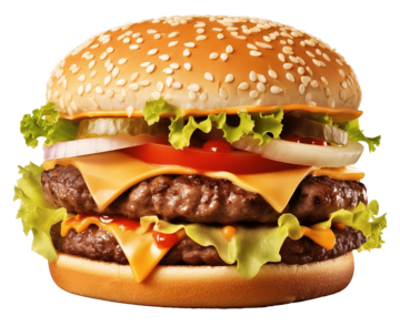 pngtree-burger-png-images-png-image_10146424